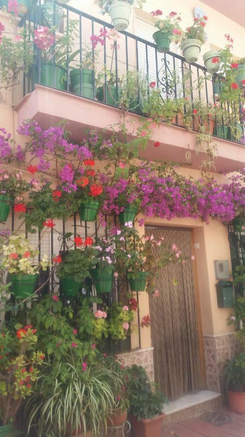 Puerto Deportivo Estepona Buitenkant foto